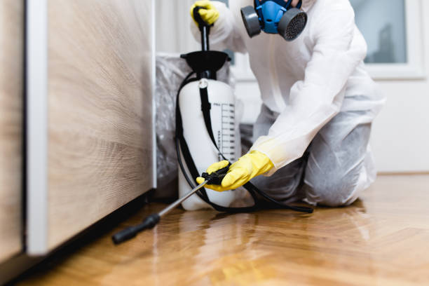 Best Ant Control Services  in Shingle Springs, CA