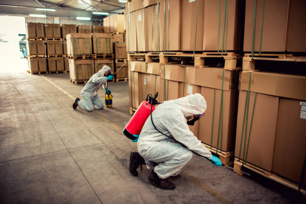 Reliable Shingle Springs, CA Pest Control Solutions