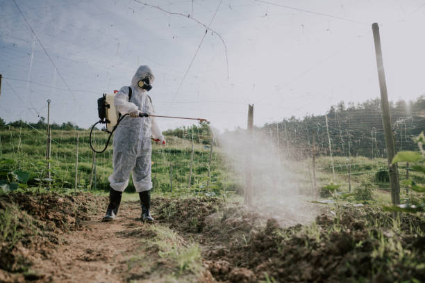 Best Best Pest Control Companies  in Shingle Springs, CA