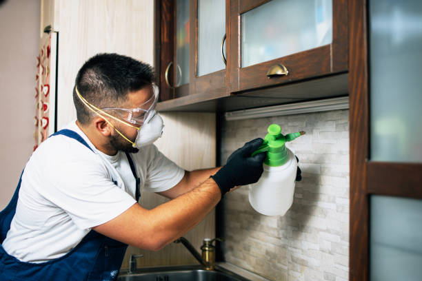 Pest Control for Restaurants in Shingle Springs, CA