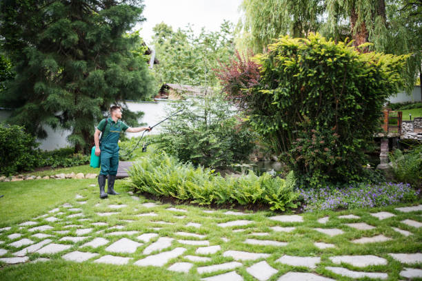 Best Pest Control Near Me  in Shingle Springs, CA